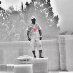 Northstar Aegis D640 Twin-Spectrum PTZ