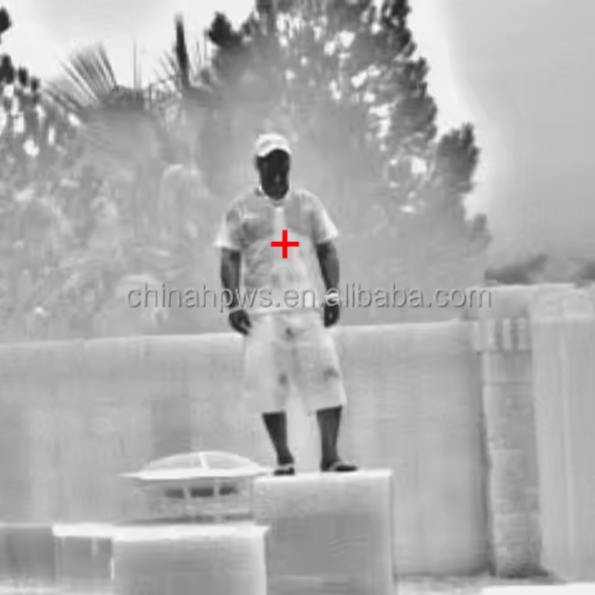 Northstar Aegis D640 Twin-Spectrum PTZ